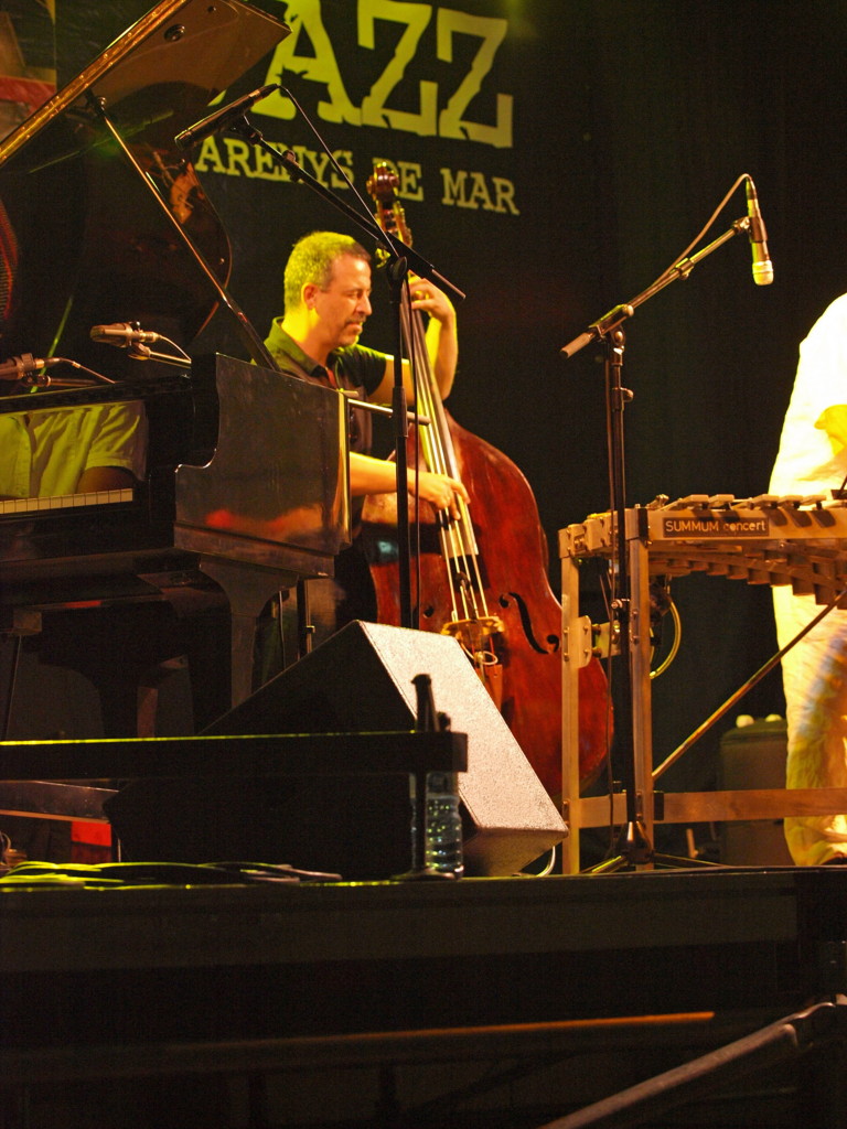 Imatges del 21è Festival de Jazz d'Arenys de Mar - 2012 - Foto 58442802