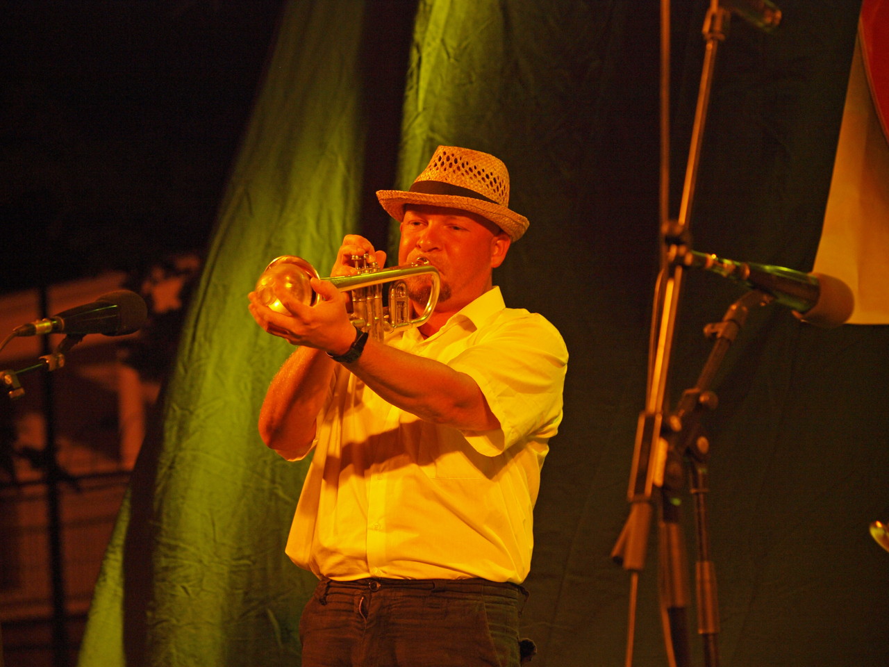 Imatges del 21è Festival de Jazz d'Arenys de Mar - 2012 - Foto 97776728