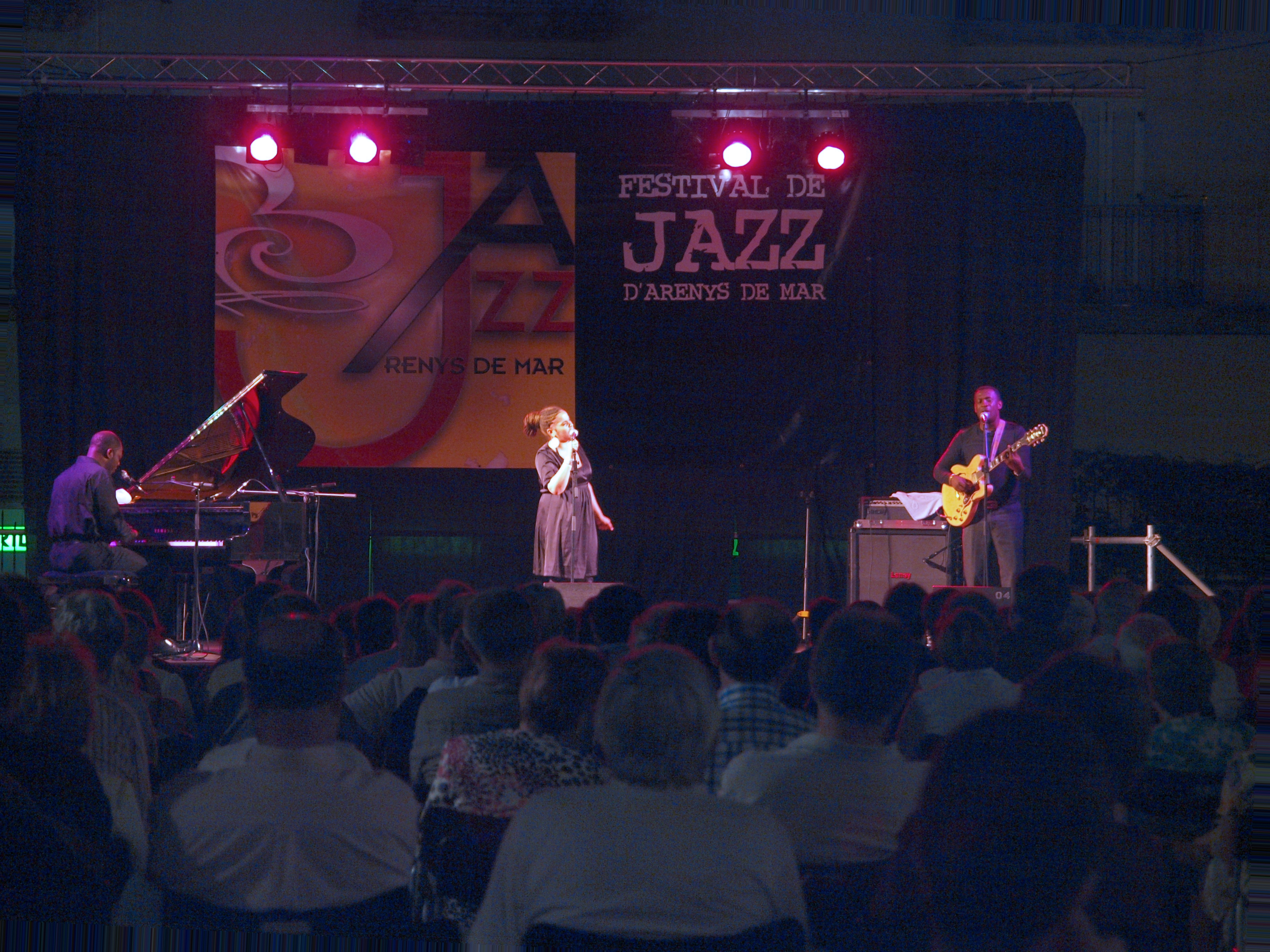 Imatges del 18è Festival de Jazz d'Arenys de Mar - 2009 - Foto 91630799