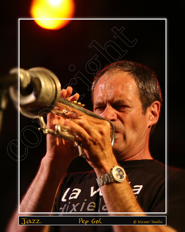 Imatges de l'19 Festival de Jazz d'Arenys de Mar - 2010 - Foto 24235361