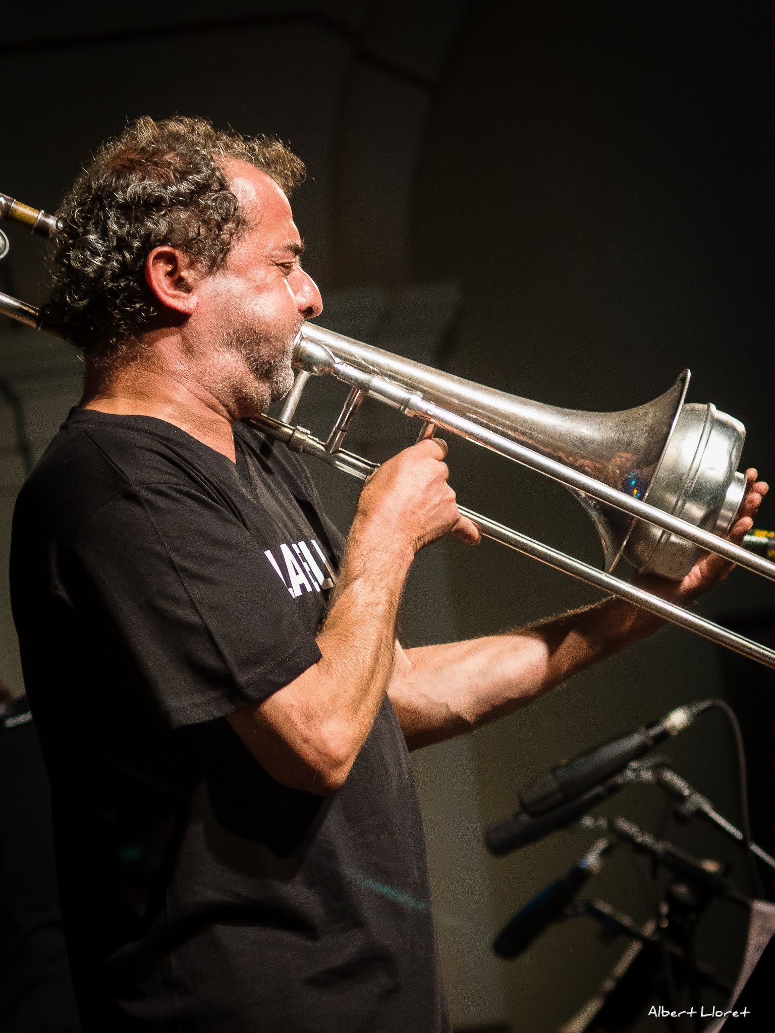 Imatges del 25 Festival de Jazz d'Arenys de Mar - 2016 - Foto 35144362
