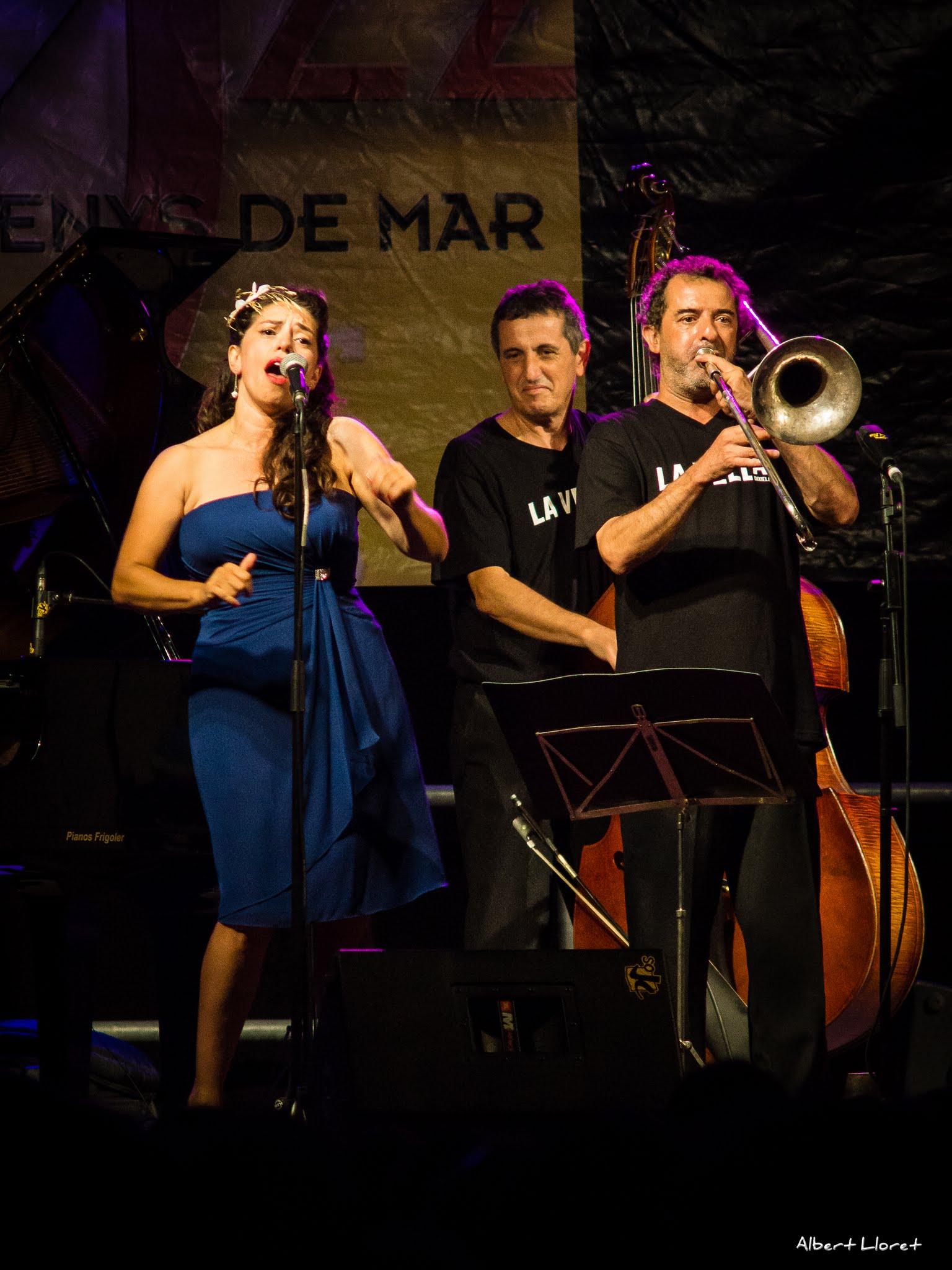 Imatges del 25 Festival de Jazz d'Arenys de Mar - 2016 - Foto 23259380