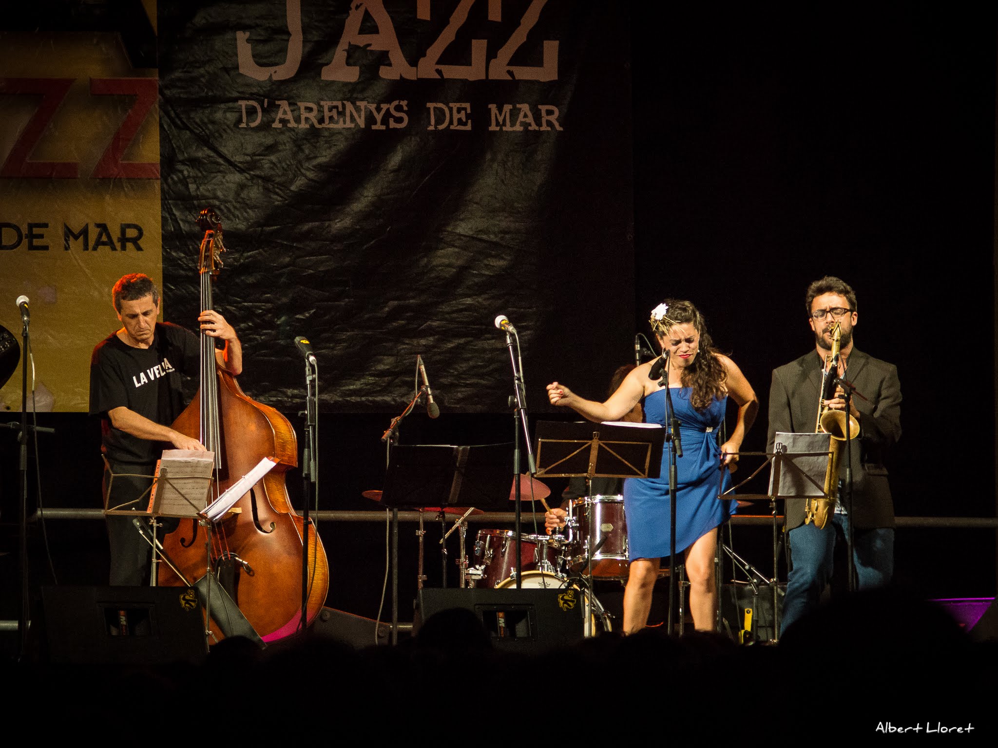 Imatges del 25 Festival de Jazz d'Arenys de Mar - 2016 - Foto 71292931