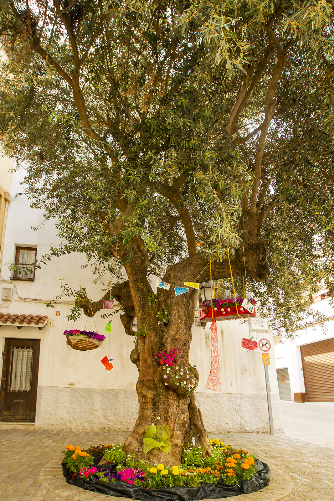 Espai 16 - Carrer d'Antoni Torrent (del Tossol) - Veines i vens del carrer