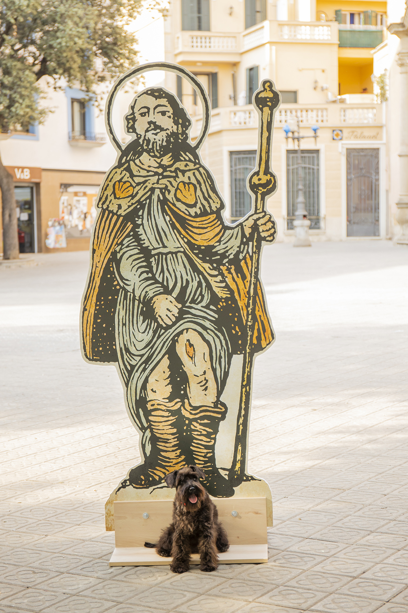 Sant Roc i el gos - Foto 66550540