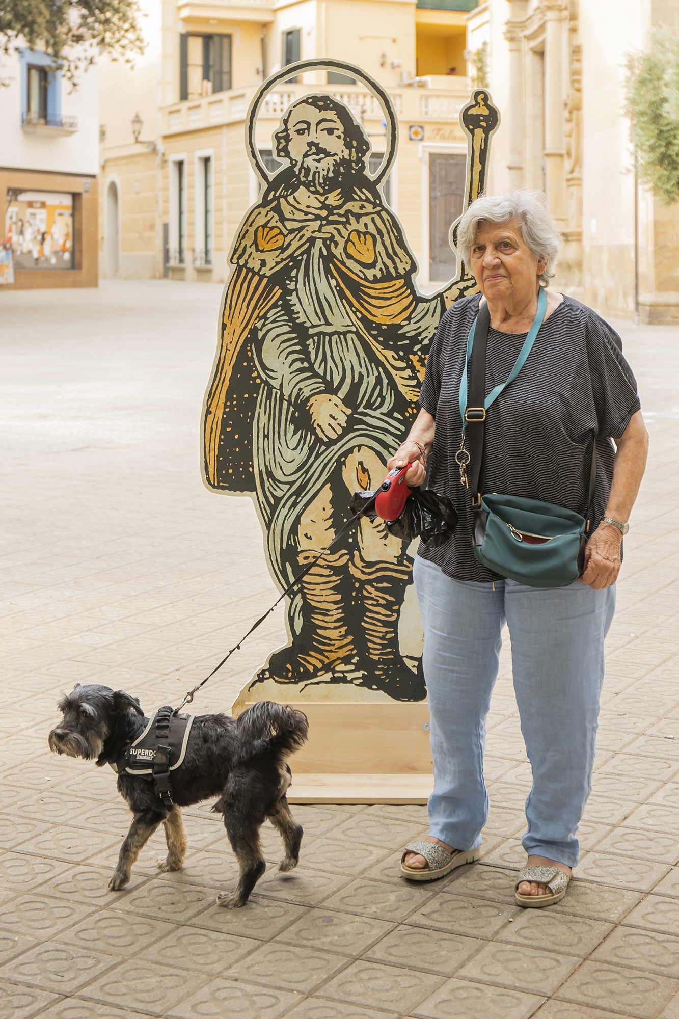 Sant Roc i el gos - Foto 23816348