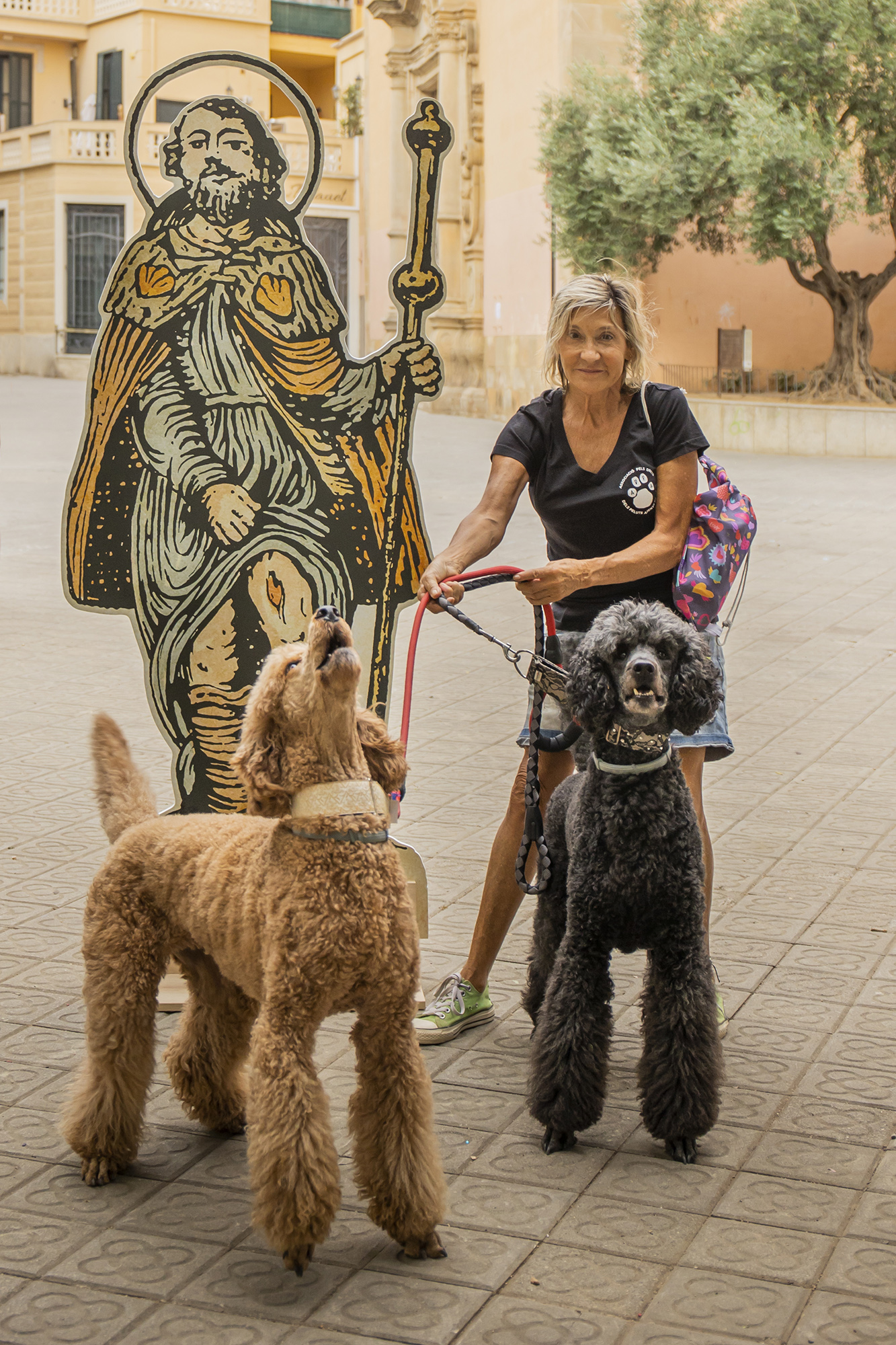 Sant Roc i el gos - Foto 72299947