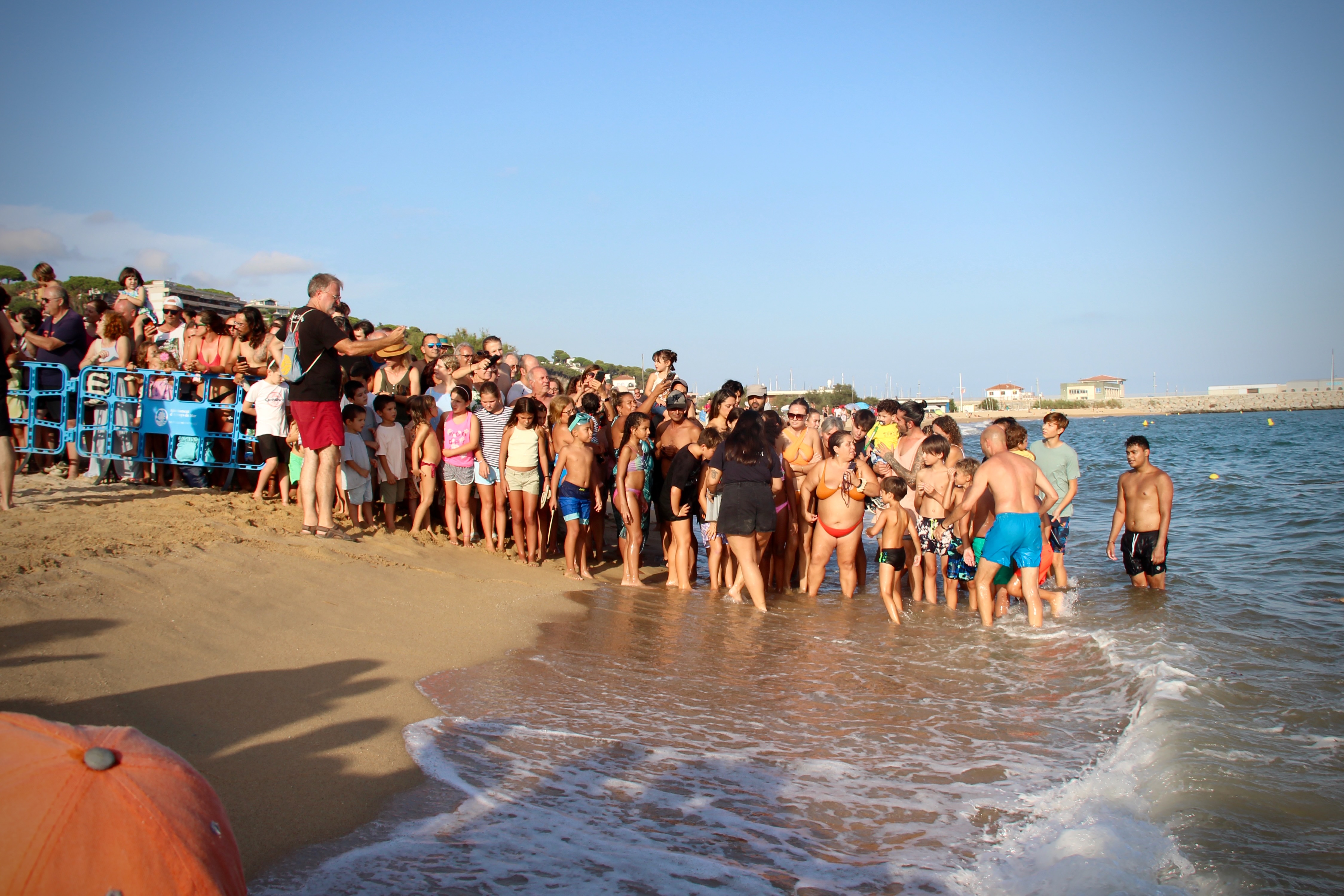 Alliberament de tortugues babaua la platja de la Picrdia - Foto 41582208
