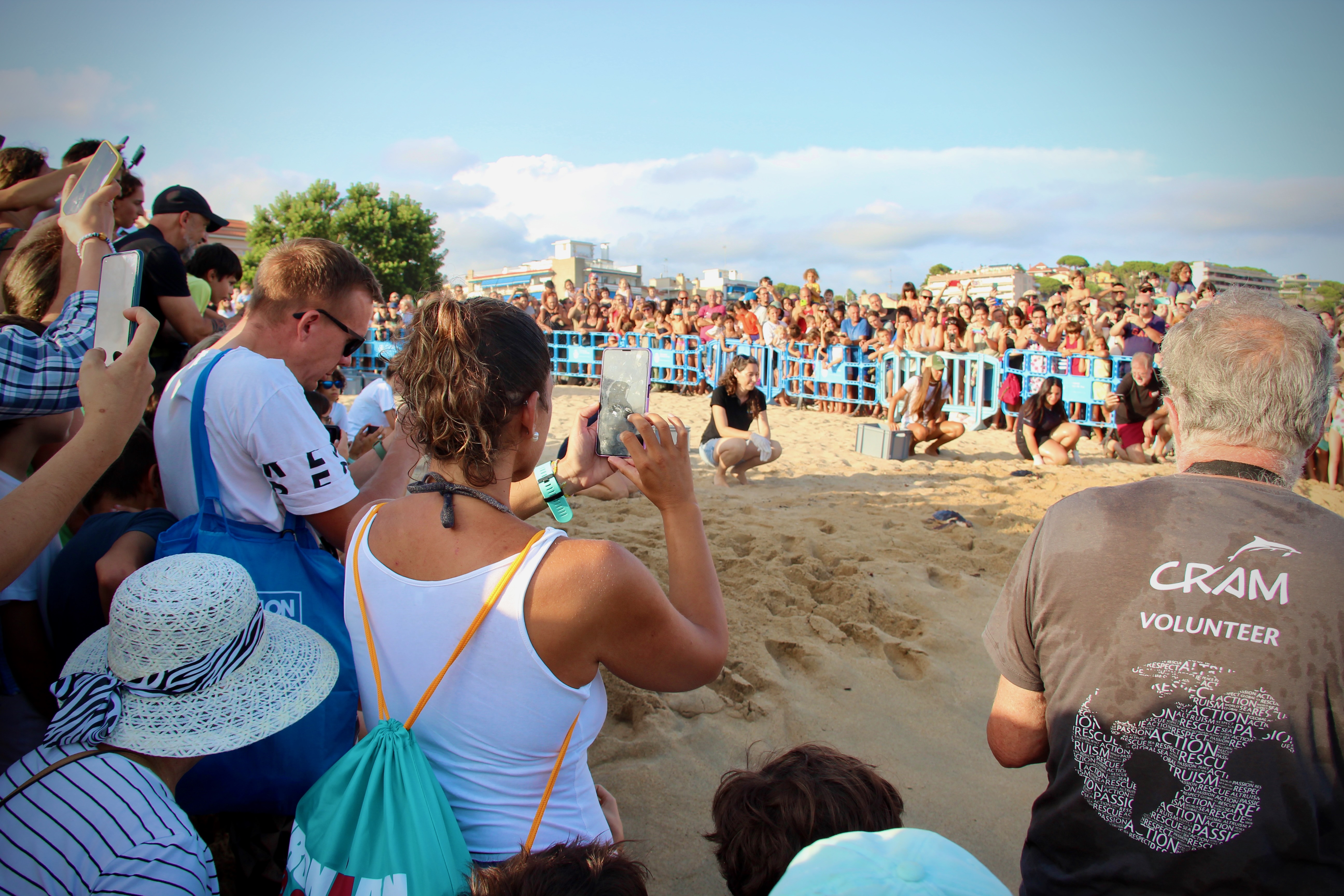 Alliberament de tortugues babaua la platja de la Picrdia - Foto 65254683
