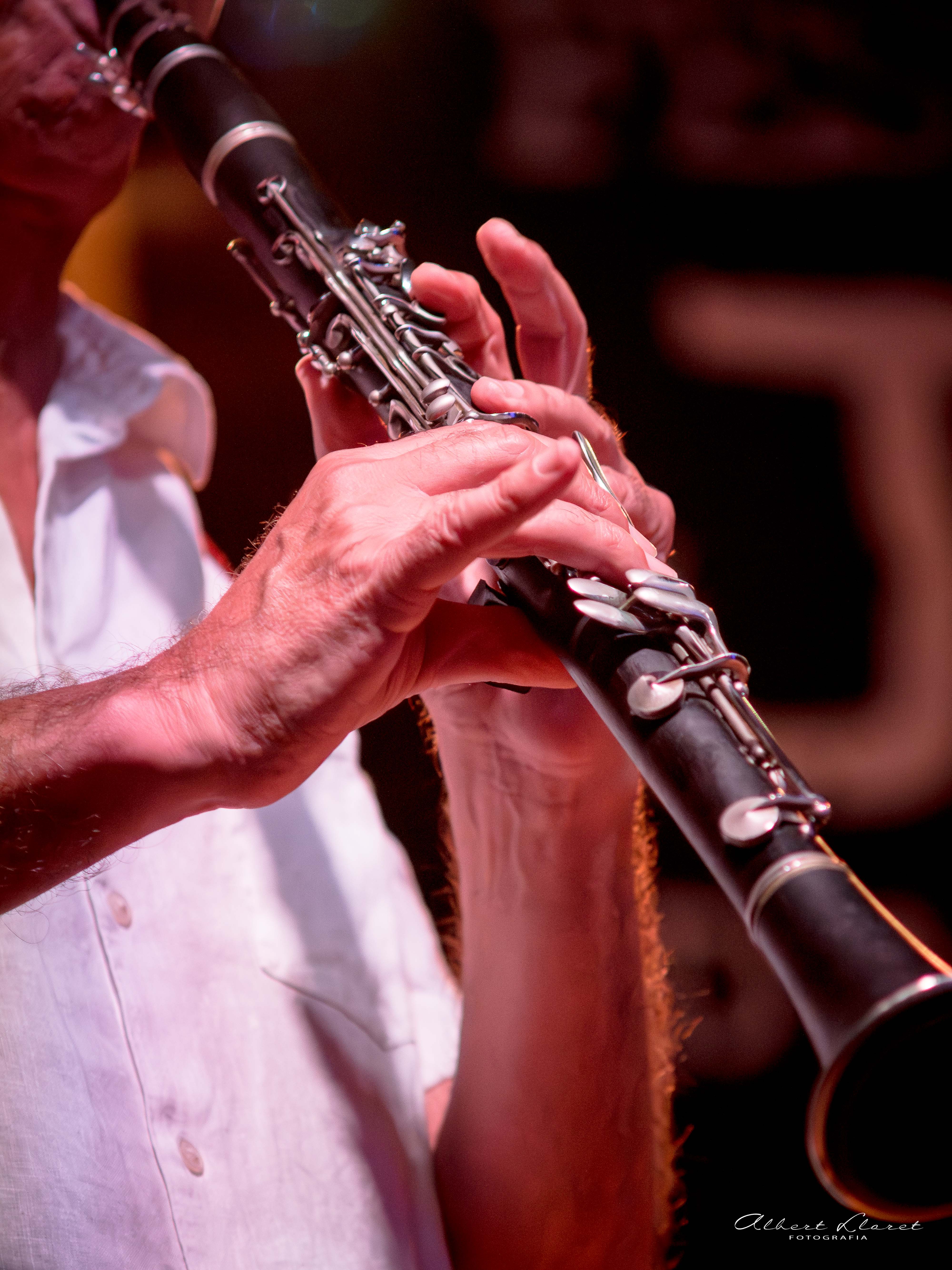 Imatges del 33 Festival de Jazz d'Arenys de Mar - 2025 - Foto 68883505