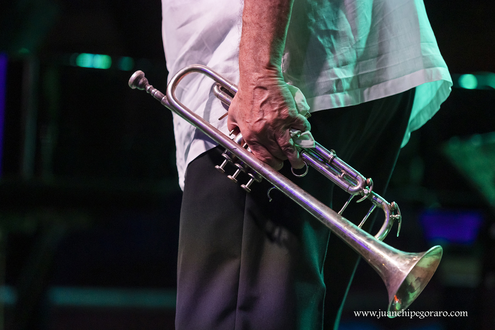 Imatges del 33 Festival de Jazz d'Arenys de Mar - 2025 - Foto 93149957