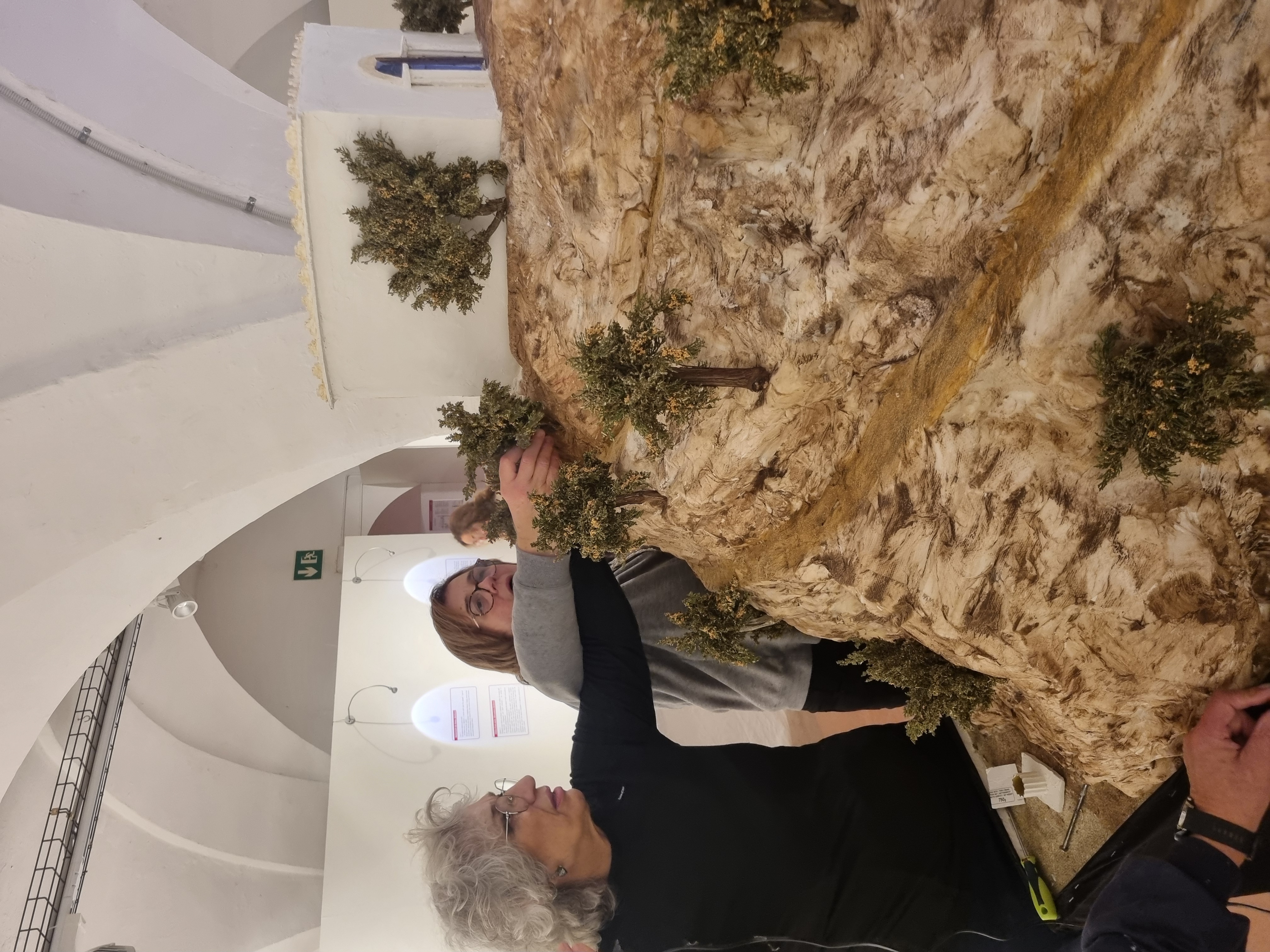 Pessebre Municipal 2025 - Foto 95423087