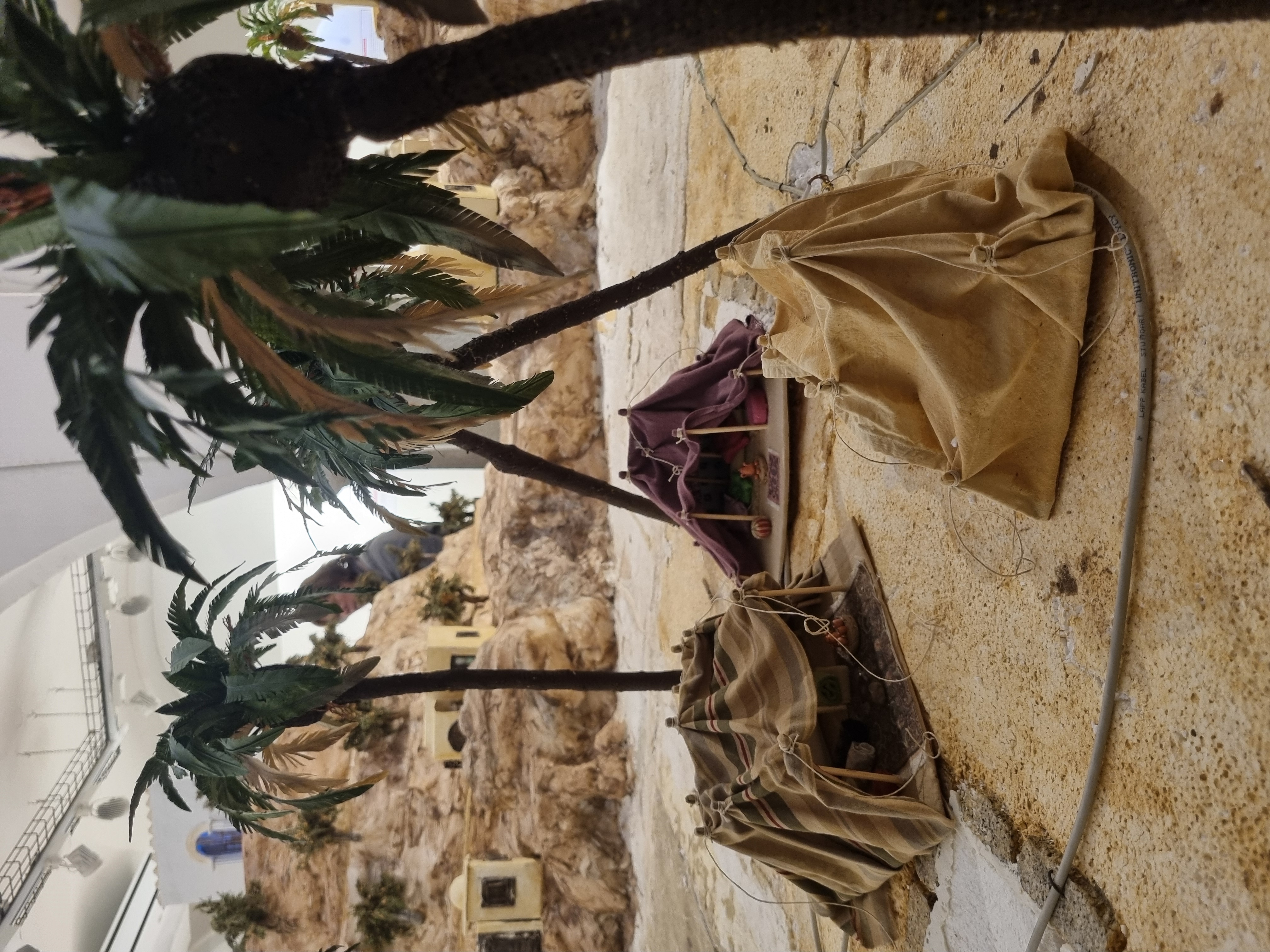 Pessebre Municipal 2025 - Foto 49991522