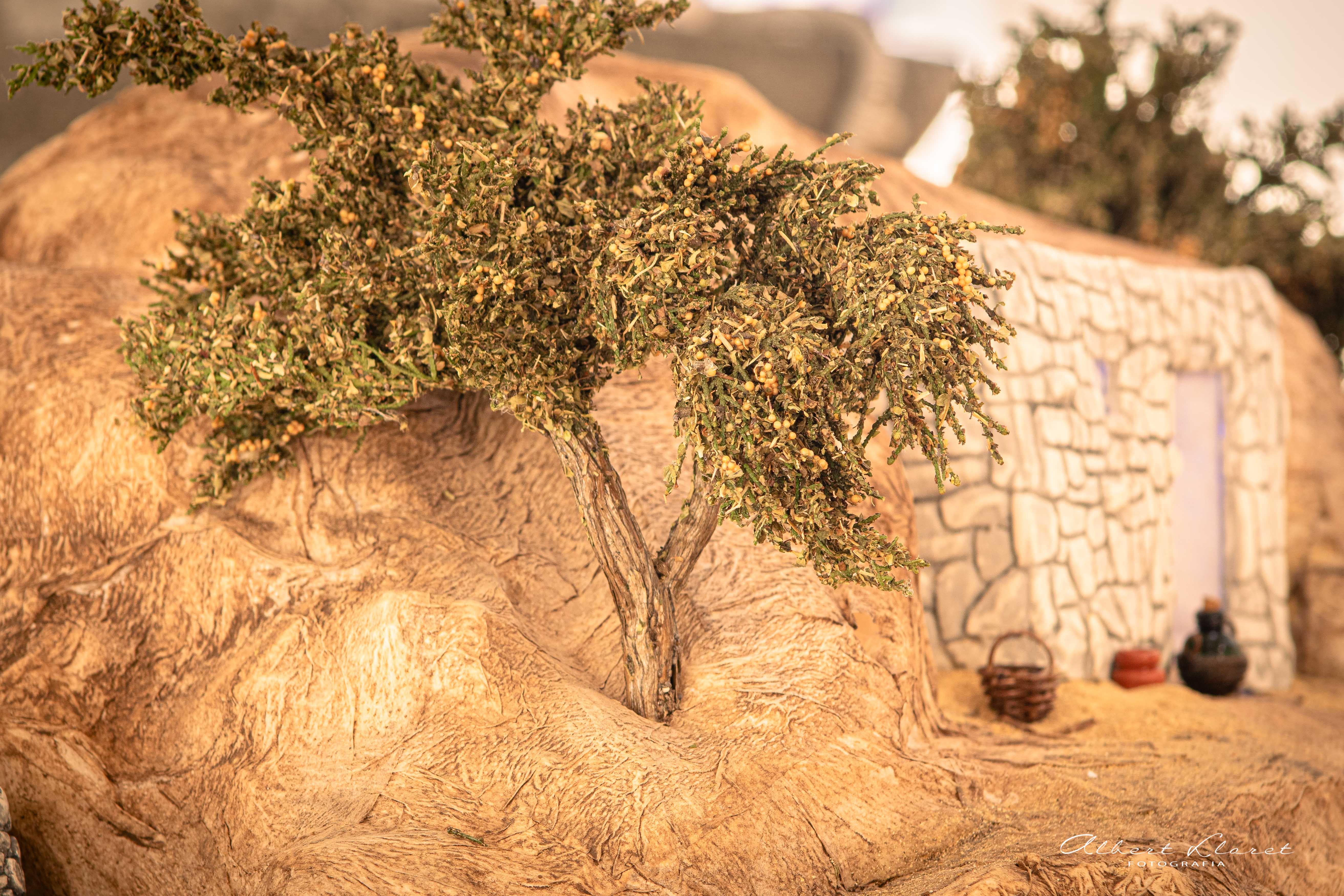 Pessebre Municipal 2025 - Foto 77674902