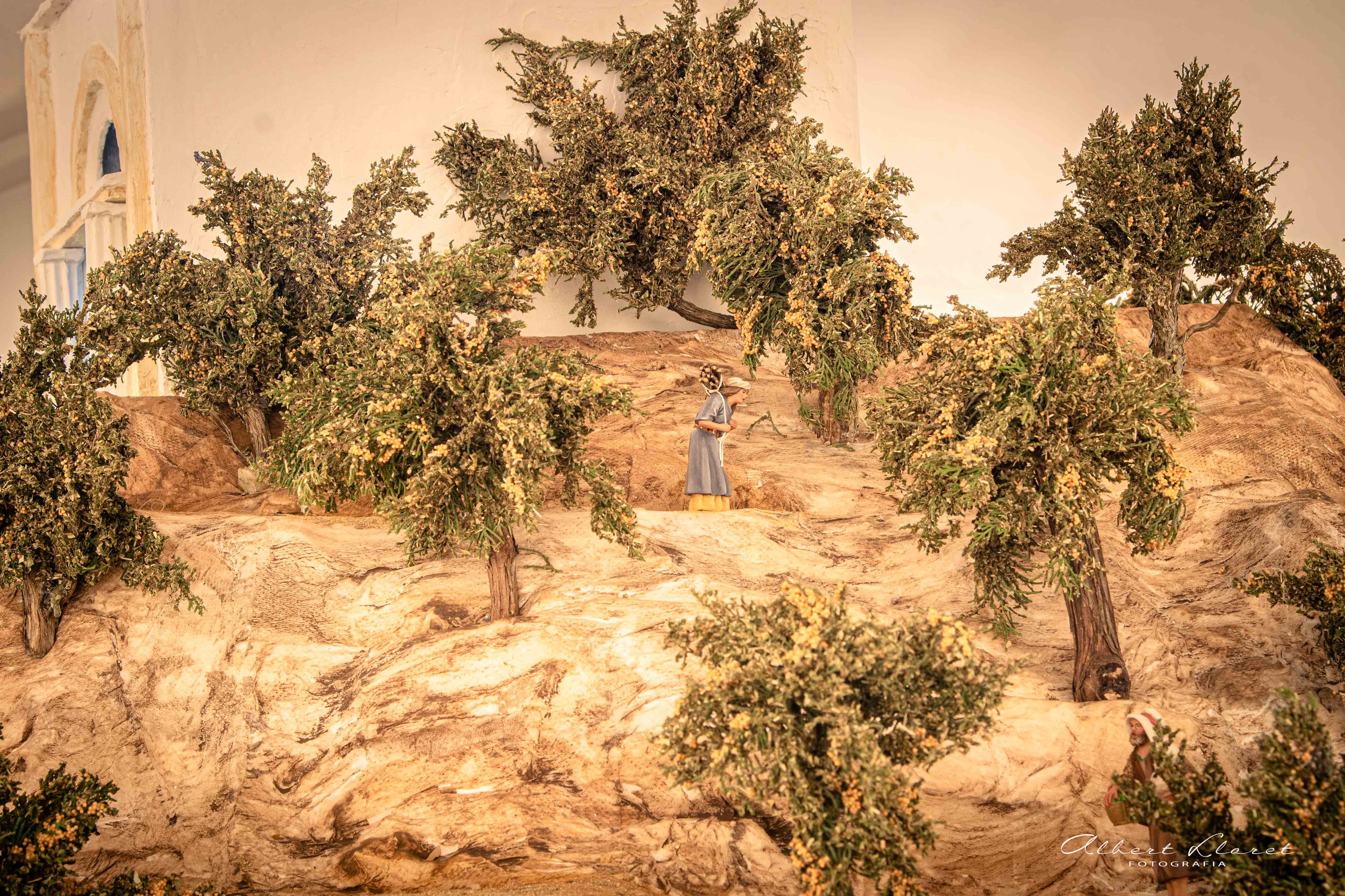 Pessebre Municipal 2025 - Foto 55958949