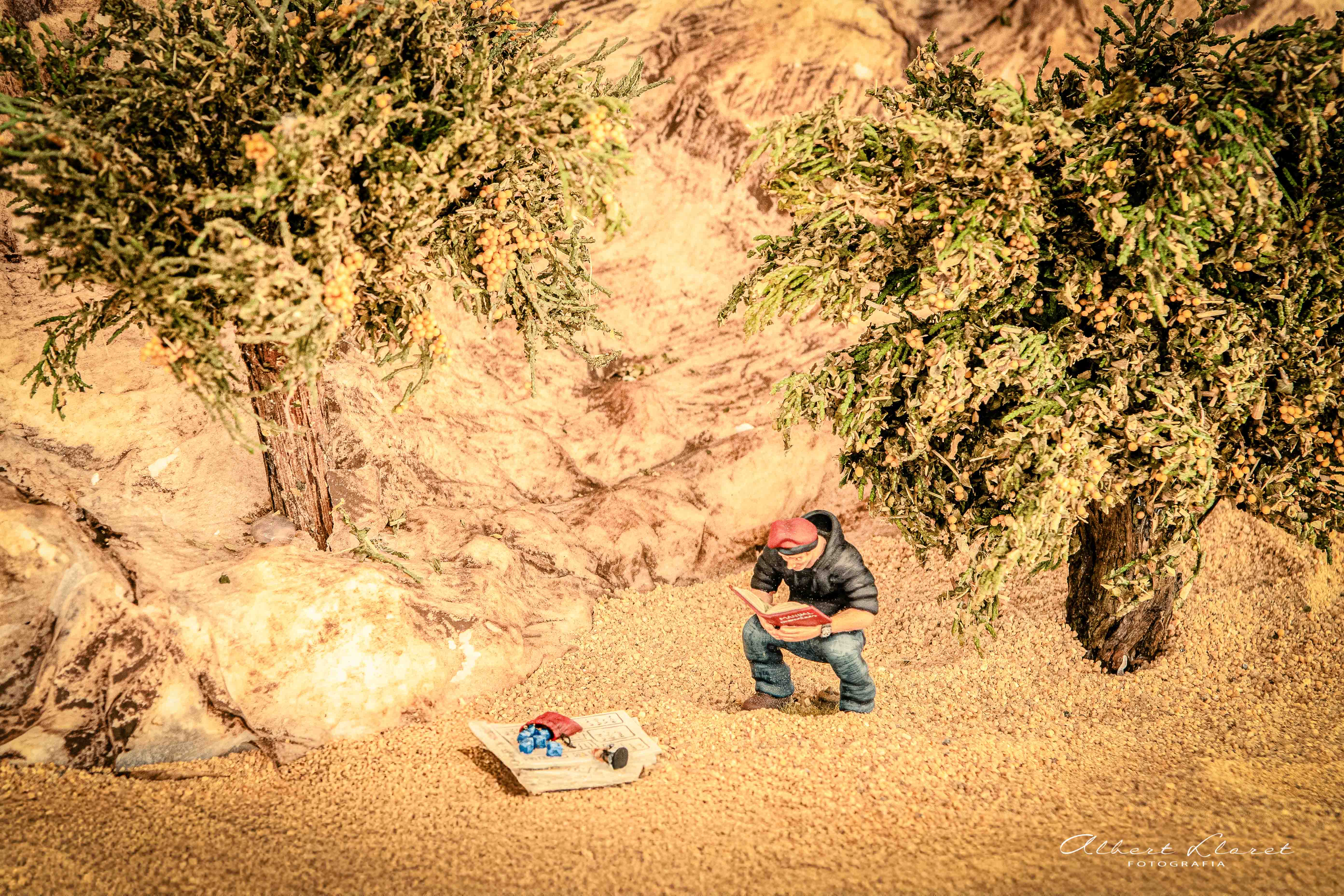 Pessebre Municipal 2025 - Foto 89450183