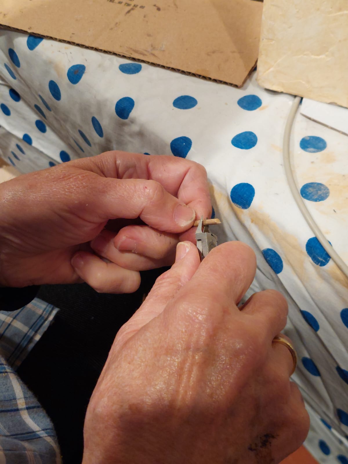 Pessebre Municipal 2025 - Foto 57983288