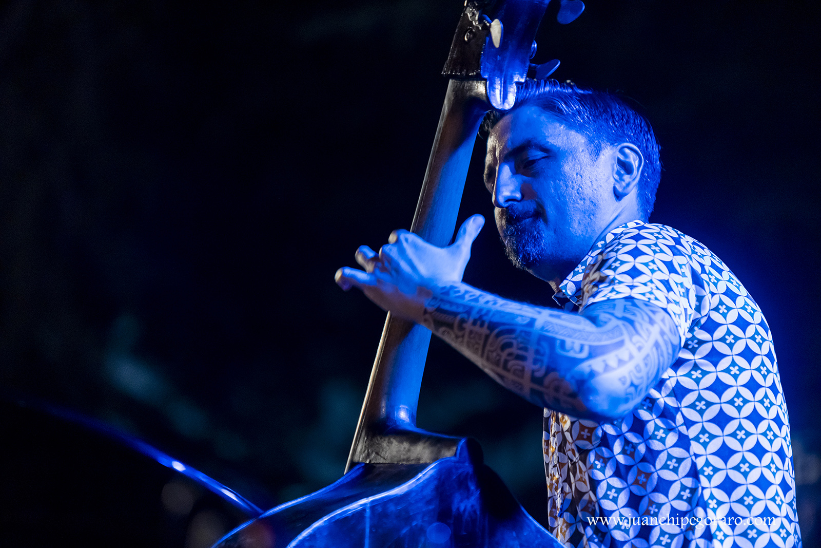 Imatges del 34� Festival de Jazz d'Arenys de Mar - Foto 66546569