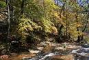 Imatge del Montseny