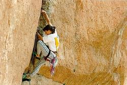 Anna Codina escalant