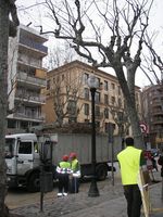 Poda arbreda de la Riera