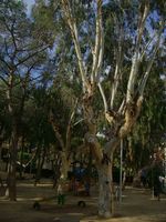 Parc de Lurdes