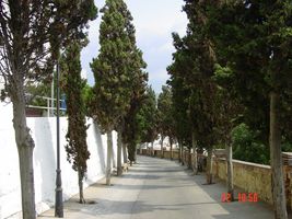 Cam&iacute; de la Pietat