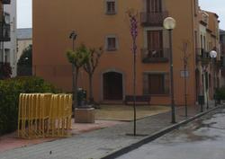 arbres