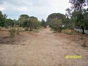 Millora a l'Hort del Bisbe