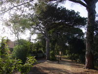 Poda 2010