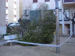 Efectes del temporal del 8 de mar&ccedil; de 2010