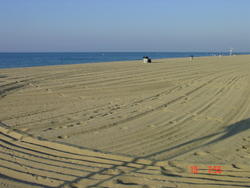 Llaurat de les platges d'Arenys