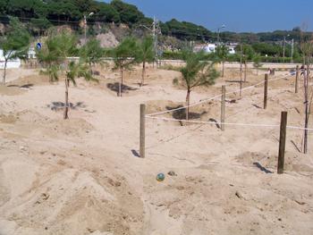 Recuperaci&oacute; ambiental al cavai&oacute;