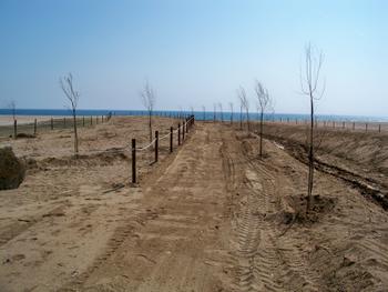 Recuperaci&oacute; ambiental al cavai&oacute;