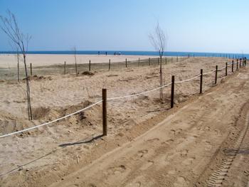 Recuperaci&oacute; ambiental al cavai&oacute;
