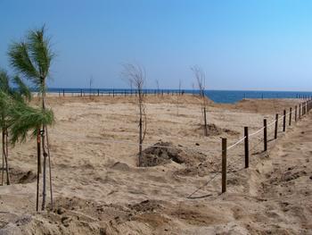 Recuperaci&oacute; ambiental al cavai&oacute;