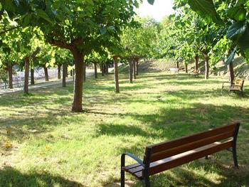 parc f&eacute;lix cucurull