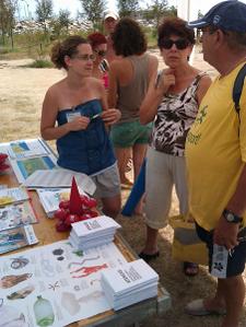 campanya platges