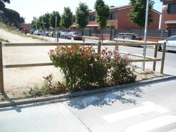 pavell&oacute;2