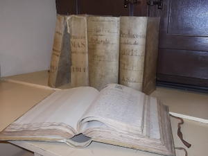 Llibres notarials ingressats