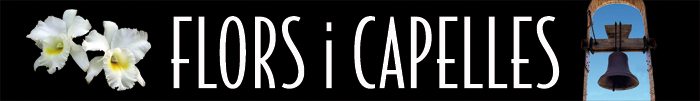 Banner llarg