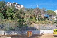 zona verda sinera