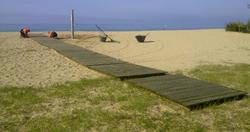 passeres