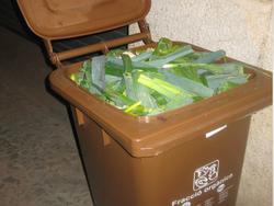 Mat&egrave;ria Org&agrave;nica