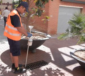 actuaci&oacute; contra mosquit tigre de l'any passat