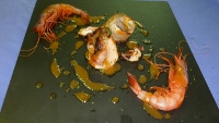 n&agrave;utic