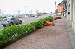 parterres
