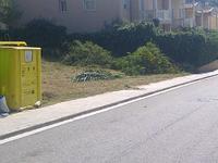 rial canalies