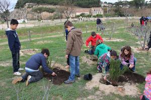 recuperaci&oacute; ambiental platges