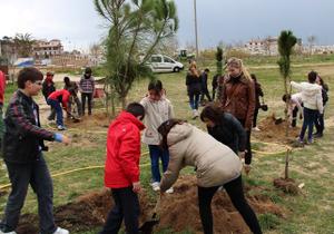 recuperaci&oacute; ambiental platges